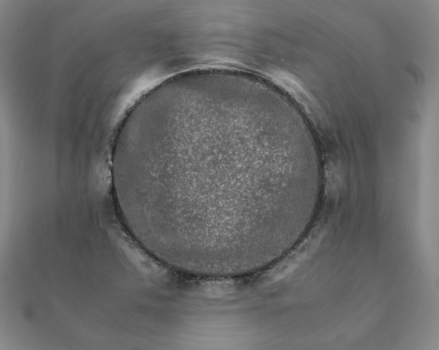 X0000111901363200908101132