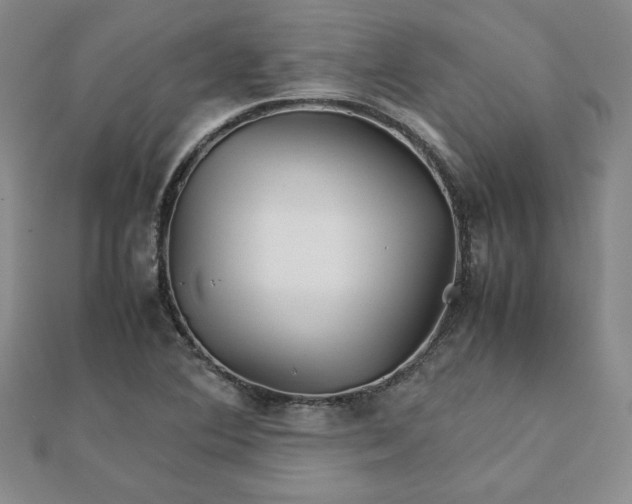 X0000111901364200908101132