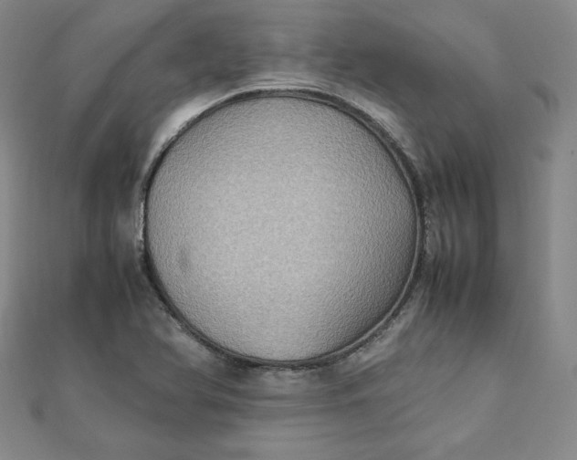 X0000111901366200908101132