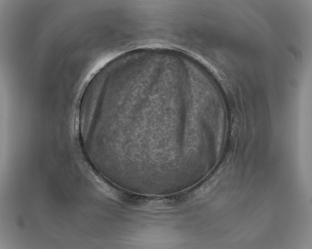 X0000111901367200908101132