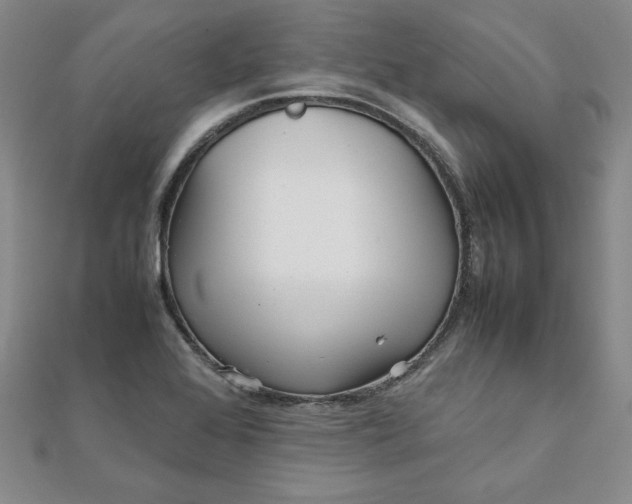 X0000111901368200908101132