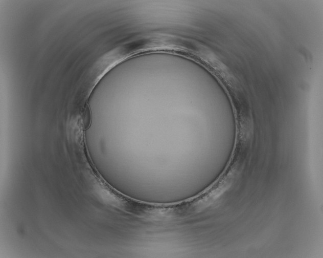 X0000111901369200908101131