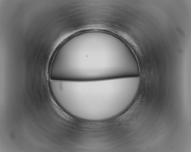 X0000111901372200908101131