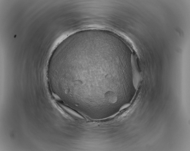 X0000111901373200908101131