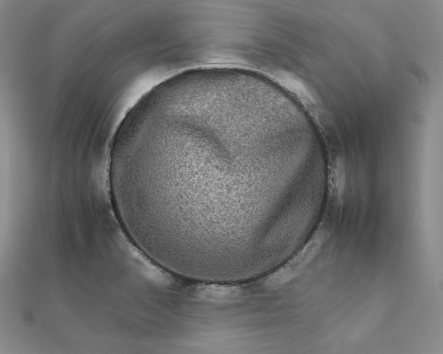 X0000111901374200908101131