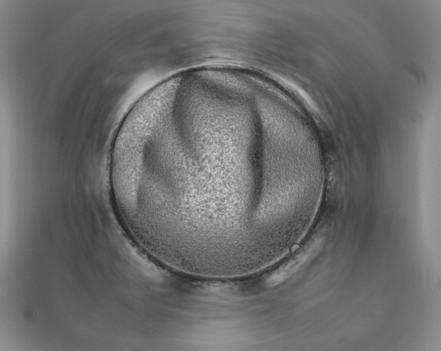 X0000111901375200908101131