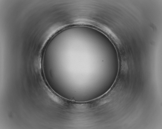 X0000111901376200908101131