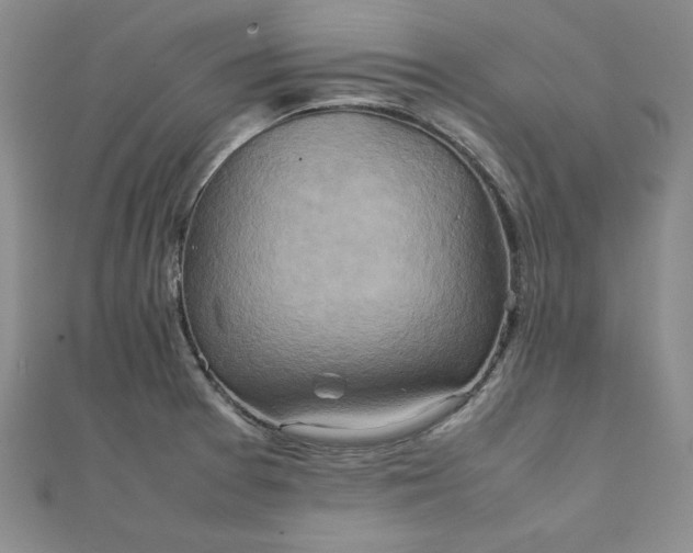 X0000111901377200908101131