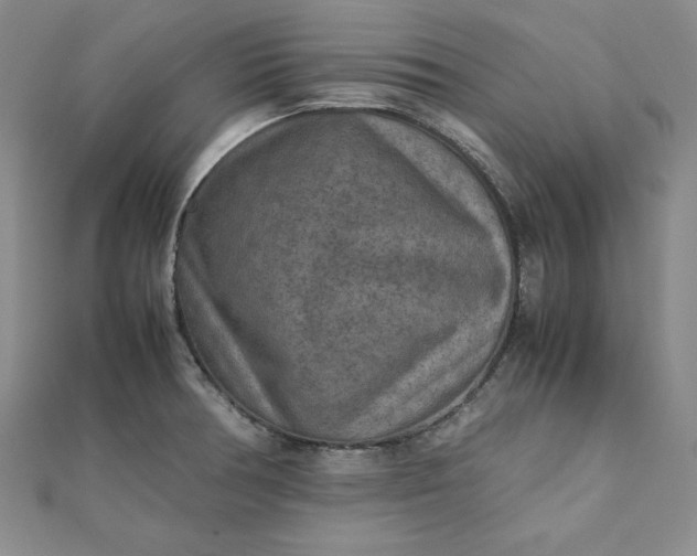 X0000111901378200908101131