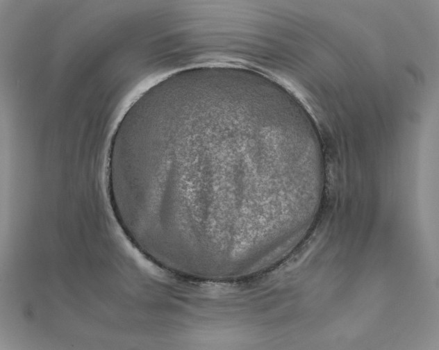 X0000111901379200908101131