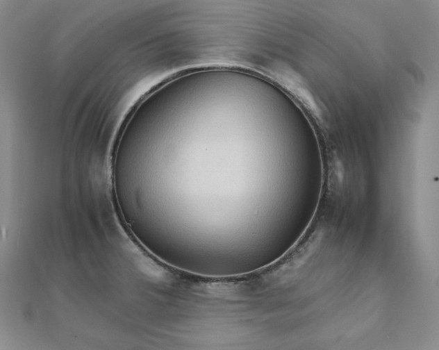 X0000111901380200908101131