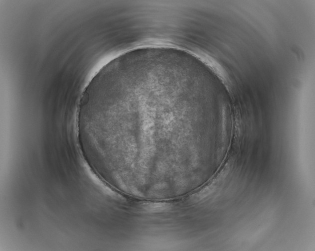 X0000111901382200908101131