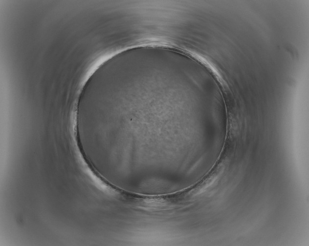 X0000111901383200908101131