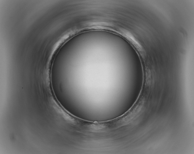 X0000111901384200908101131