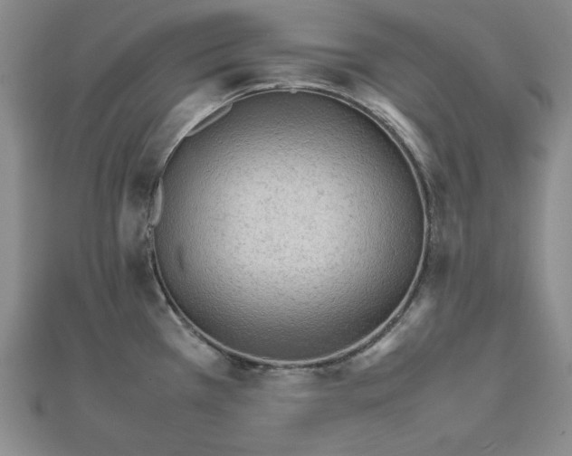 X0000111901385200908101131