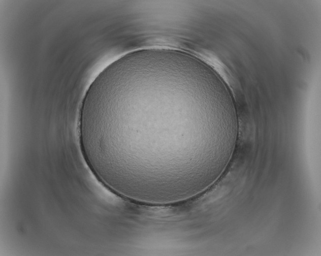 X0000111901387200908101131