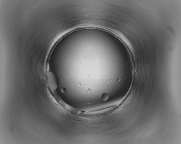 X0000111901388200908101131