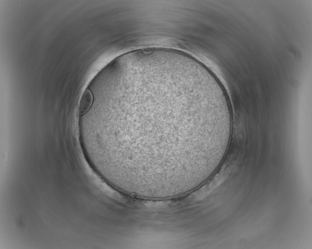 X0000111901389200908101131