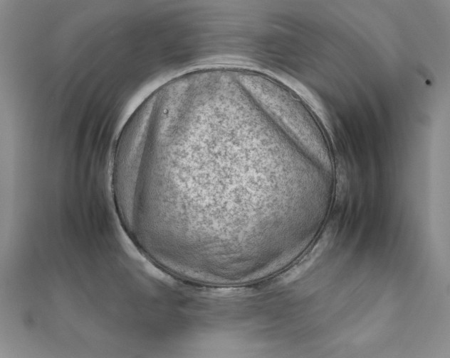 X0000111901390200908101131