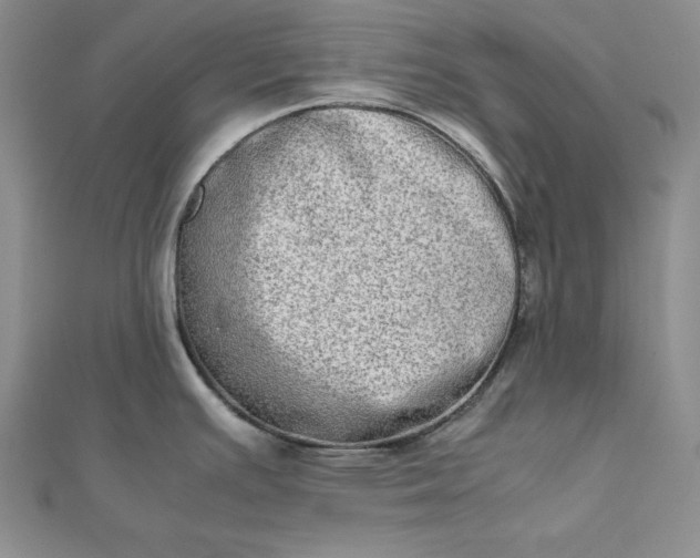 X0000111901391200908101131