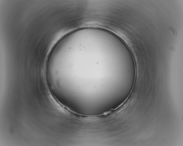 X0000111901392200908101131