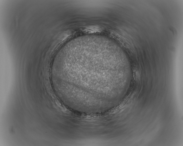 X0000111901393200908101131