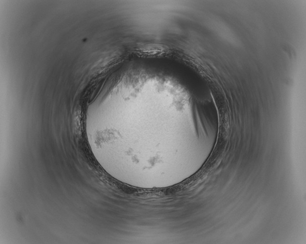 X0000111901394200908101131