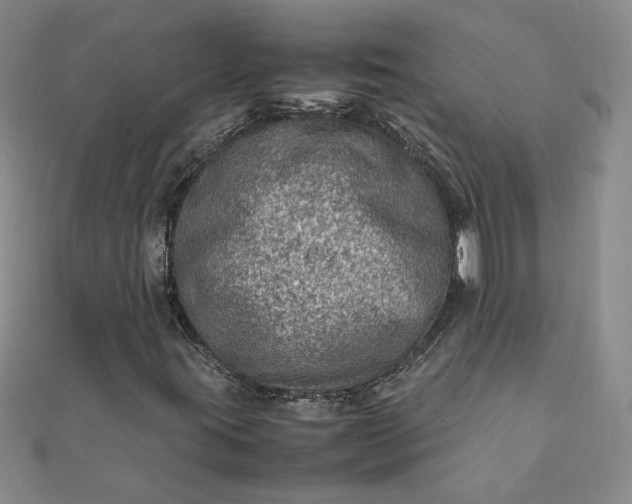 X0000111901395200908101131