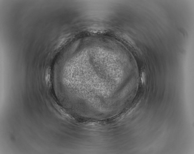 X0000111901396200908101131