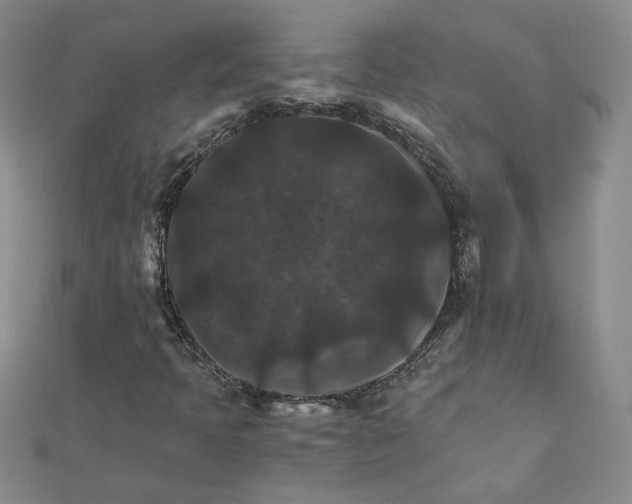 X0000111901397200908101131