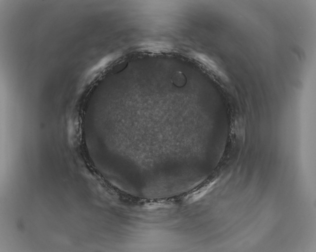 X0000111901398200908101131