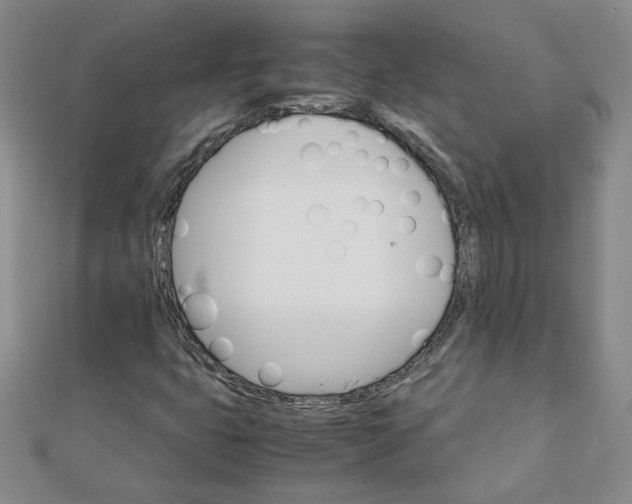 X0000111901399200908101131