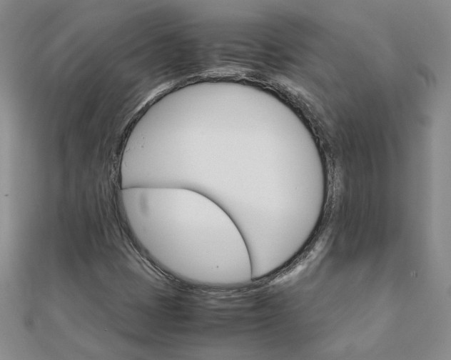 X0000111901401200908101131