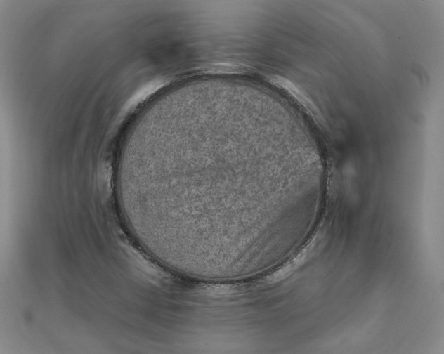 X0000111901402200908101131