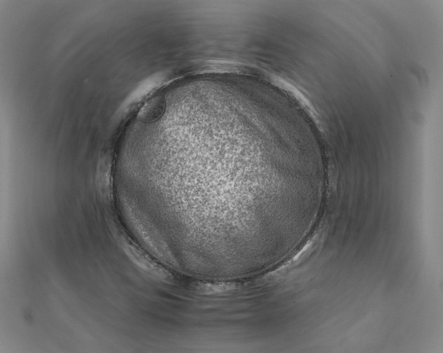 X0000111901403200908101131