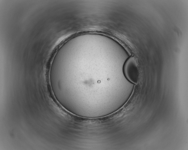 X0000111901404200908101131