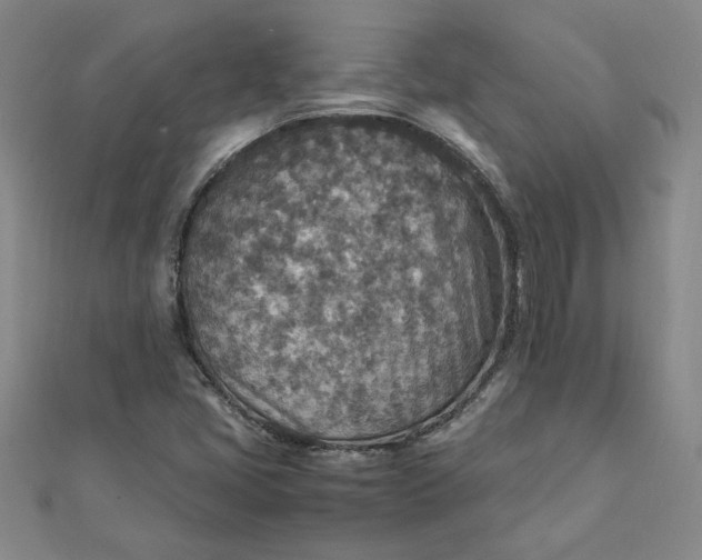 X0000111901405200908101131