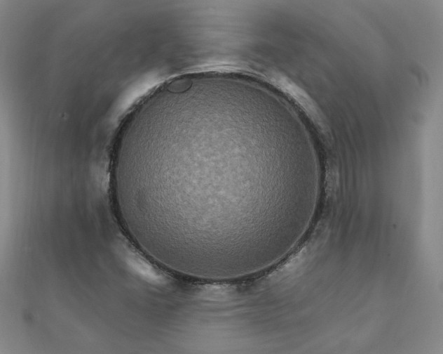 X0000111901406200908101131