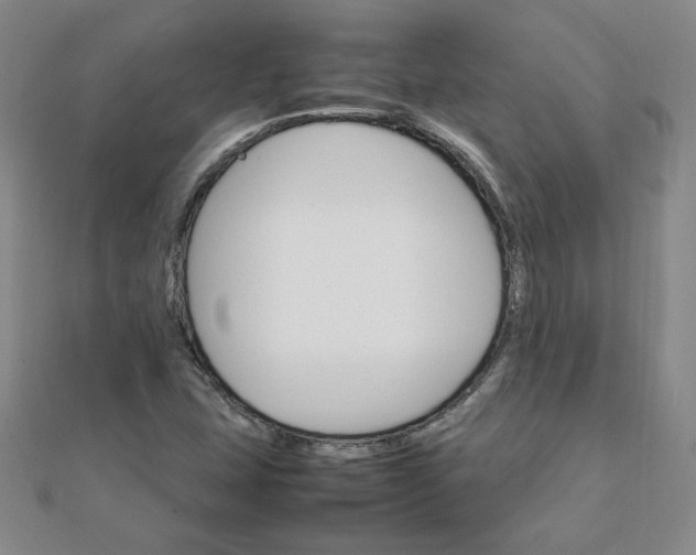 X0000111901407200908101131