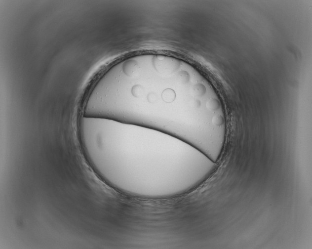 X0000111901408200908101131