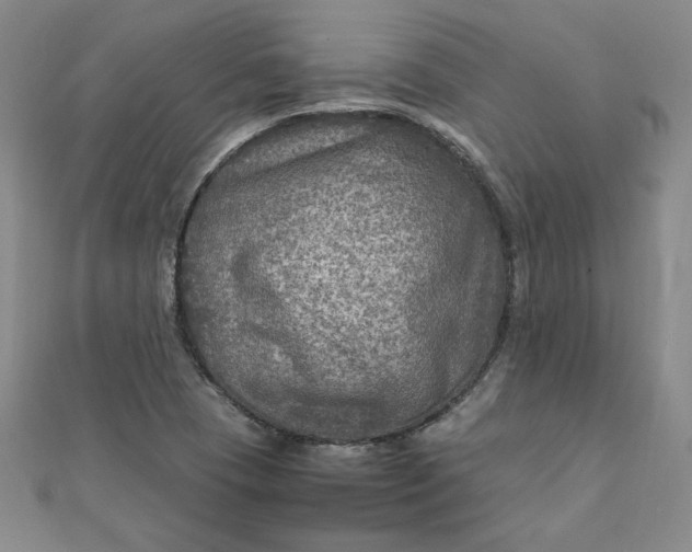 X0000111901409200908101131