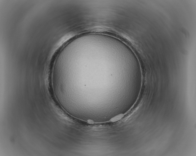 X0000111901410200908101131