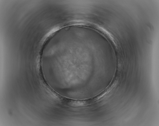 X0000111901411200908101131