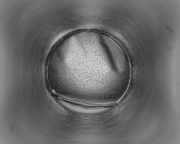 X0000111901412200908101131