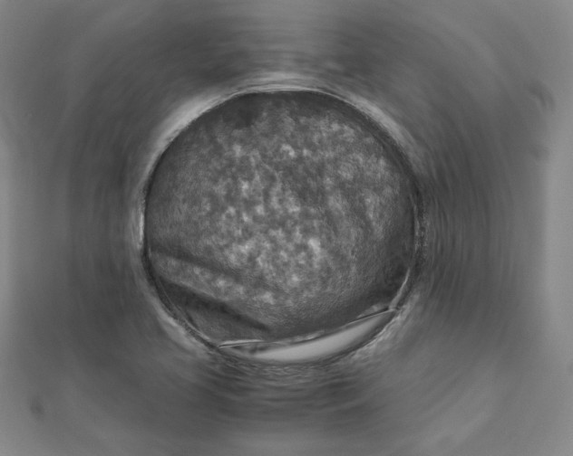 X0000111901413200908101131