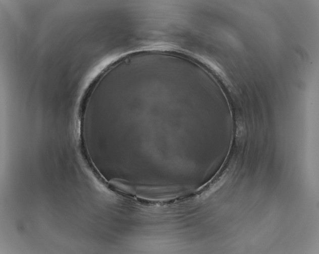 X0000111901414200908101131