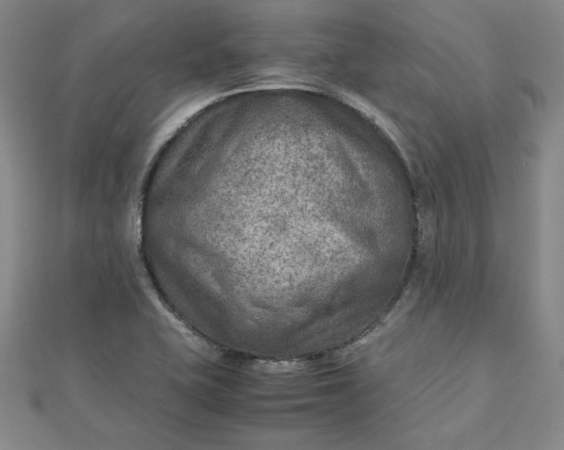 X0000111901415200908101131