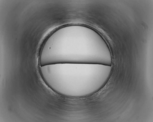 X0000111901416200908101131