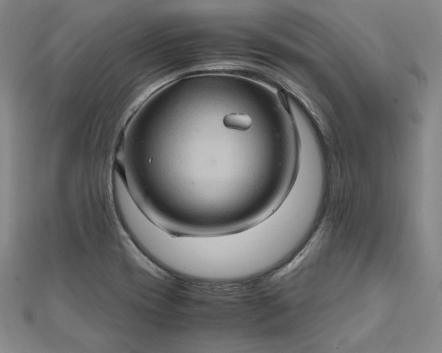 X0000111901417200908101131