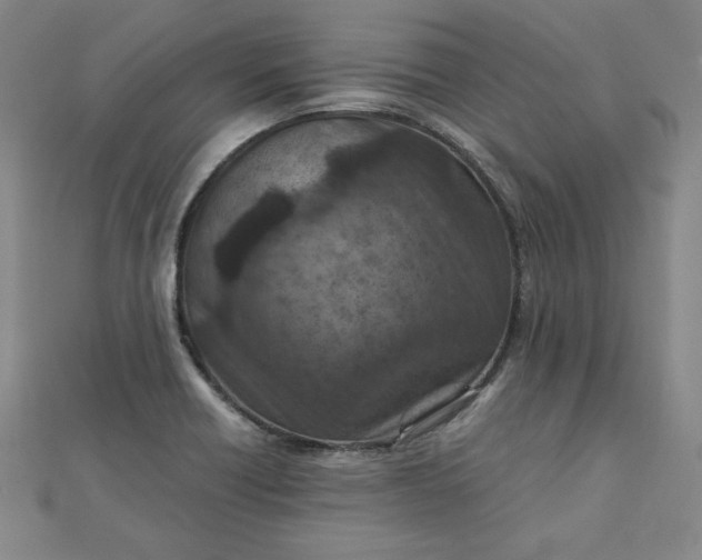 X0000111901418200908101131